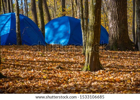Camping and group of tourist tent under deciduous autumn forest with beautiful sunlight in the morning.