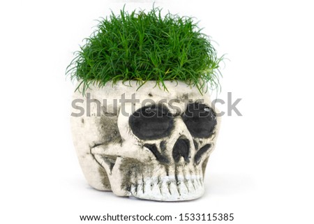 White ceramic skeleton planter with grass hair