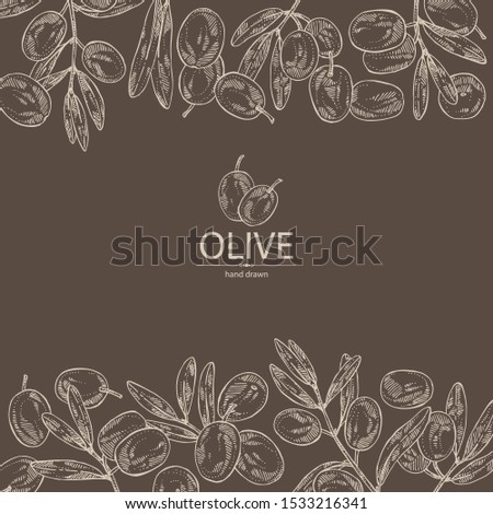 Background with olive: olives and olive branch. Vector hand drawn illustration.