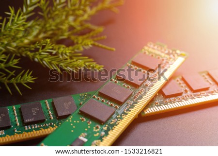 Two slots of computer RAM and a branch of juniper on a dark background. Concept: give yourself a gift for the new year and buy self-development courses. Selective focus. Tinted.