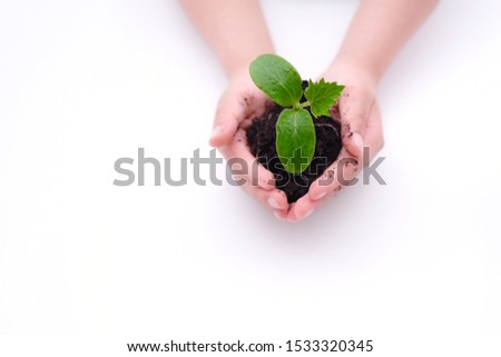 Close up of cropped hands boy holding plant seeding growing out of soil isolated on a white background copy space. Education, financial planning, hope, economic growth, environmental, ecology concept.