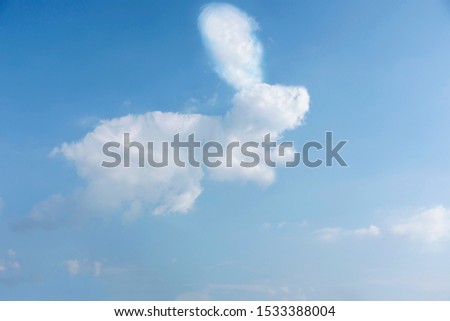 Rabbit cloud background sky image