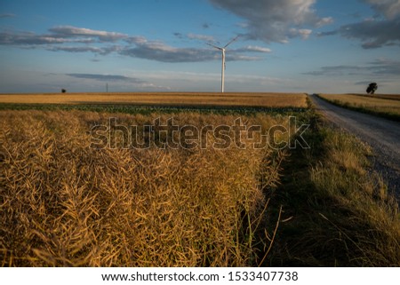 landscape with dirt road through fields with wind turbine in rural area during sunset