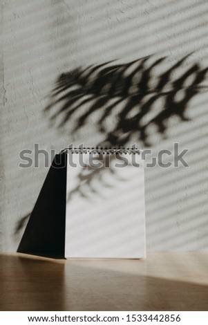 Modern trend home decor mock-up with shadows. Fall autumn minimal mock up with open empty note pad, golden dry leaves and candle on grey concrete wall background.