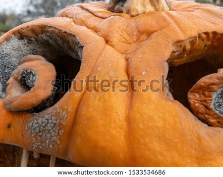 picture with a terrible carved pumpkin for Halloween