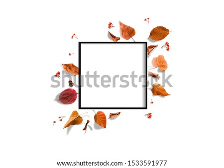 Autumn composition. Photo frame, flowers, leaves on white background. Autumn, fall, thanksgiving day concept. Flat lay, top view, copy space