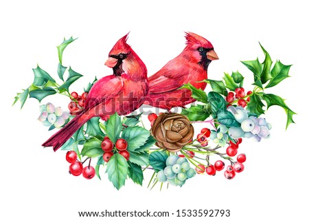winter card, beautiful birds red cardinals watercolor on a white background, christmas composition, new year holiday