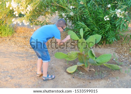man in a hat studies a cactus plant in hot climates