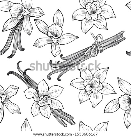 Vanilla flowers and pods. Vector seamless pattern. Vintage style Royalty-Free Stock Photo #1533606167