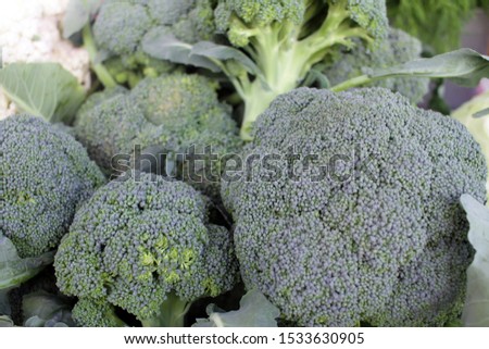 Fresh broccoli on a farmer market. Green vegetables. Broccoli pattern. 