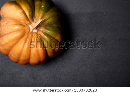 Halloween pumpkin on a black background. Big orange pumpkin
