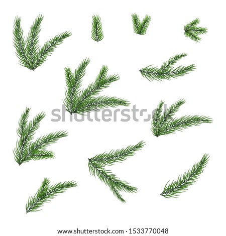 Vector set of christmas tree branches. Set of christmas elements for your design.