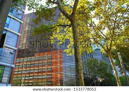 Glass, tall buildings on a background of green trees.