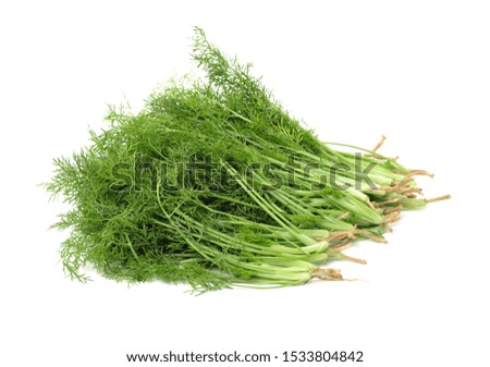 Isolated piece of dill against a white background stock photo