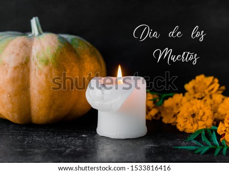 Day of the dead concept dia de los muertos. Day of the dead in Mexico concept. flower marigold, pumpkin and  candle on the black background