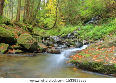 The photo was taken in the Ukrainian part of the Carpathian Mountains. The picture shows a stream with clear water flowing from the mountains in the autumn forest.
