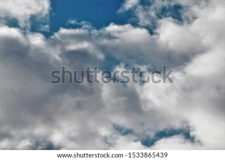 Gazing up at the clouds