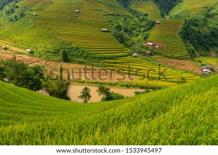 The rice terraces heritage on the majestic mountains range and deep valley with ripe yellow rice field and colorful dramatic layout