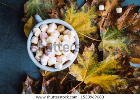 Mug of hot chocolate with marshmallows on concrete background and autumn leaves.