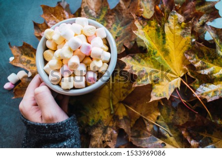 Womans hand holding a mug of hot chocolate with marshmallows on autumn leaves and concrete background.