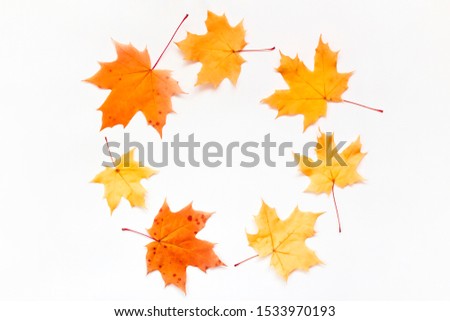 Round banner of maple leaves. Orange autumn leaves in circle wreath. Floral card design, place for text.