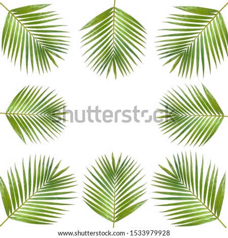 Frame or coconut leaf picture frame, ready to use on a white background.