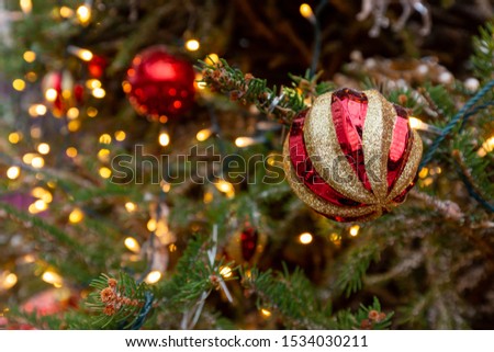 Red christmas decoration baubles ornaments on fir branches.