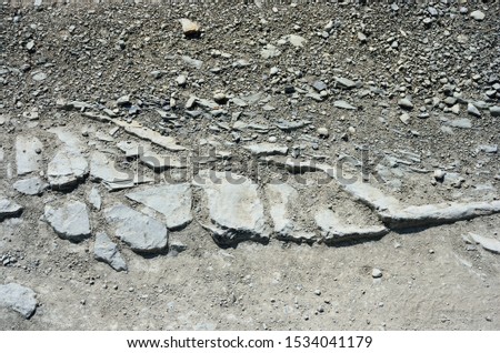 Bad road. Dirt road texture.
