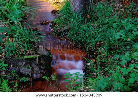 A beautiful shot of the water flowing down surrounded by green plants