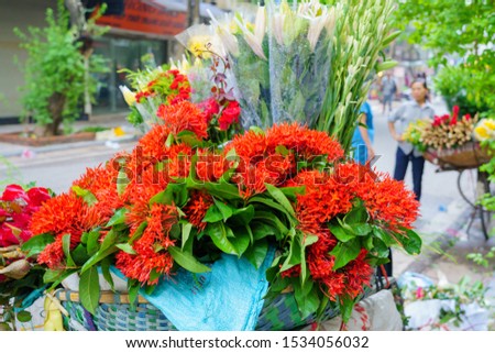 Flower market on bicycle on the road local market in HANOI VIETNAM VOVworld. to consist of Lilly, White rose, spike flower, Marigold