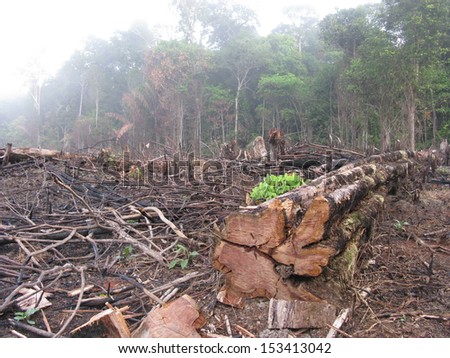 Destroyed tropical rainforest in Amazonia Brazil. Image taken on 20 January 2010 Royalty-Free Stock Photo #153413042