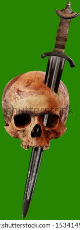 Human skull 3d model pierced by a old sword on a green background. The model is obtained by scanning from a real human skull.