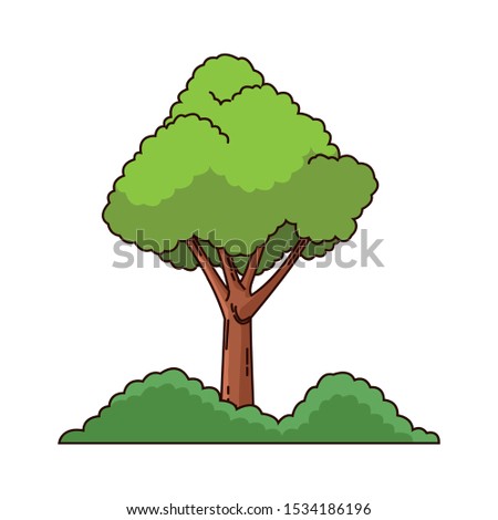 tree and bushes icon over white background, vector illustration