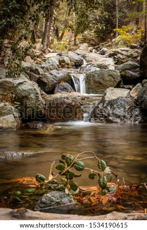 Autumn landscape. Rocky river in the autumn forest. Picturesque stream in the fall. Mountain river.