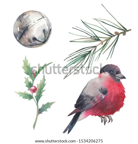 Watercolor Christmas set. Isolated winter items: finch bird, holly, bell, spruce. Clip art for greeting design