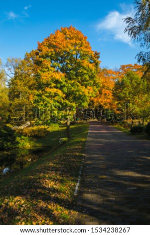 Golden autumn in city parks
