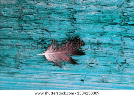 turquoise background wall on textured