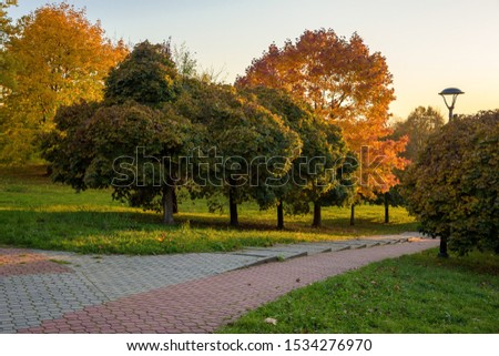 Beautiful colors of autumn in the park at sunset