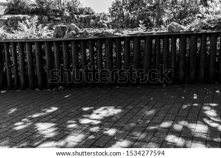 walkway with shadows in zoo in black and white