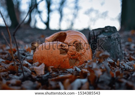 An old thrown pumpkin in the woods after Halloween. halloween pumpkin.