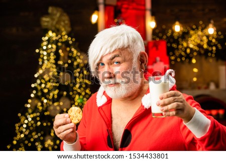 Santa Claus enjoys cookies and milk left out for him on Christmas eve. Santa holding cookie and glass of milk on Christmas tree background. Thanksgiving day and Christmas
