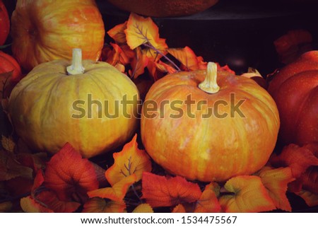 Decorative orange pumpkins on display in Halloween. Vintage style picture. Food, interior and Halloween day concept.