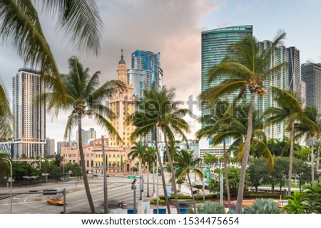 Miami, Florida, USA cityscape in the morning with palm trees.