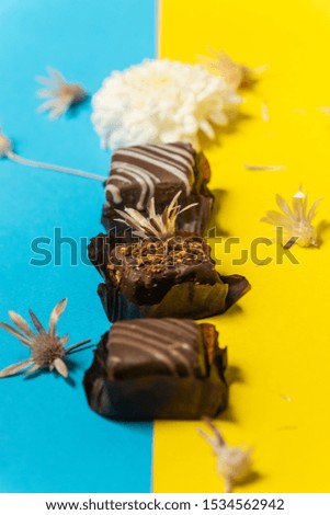 Chocolate Cups on Yellow and Blue Background with Flowers. Creative food serving.