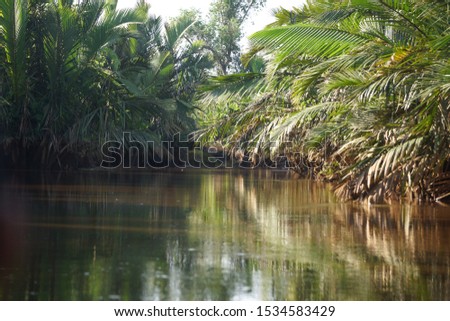 Ecosystem of sumatera rain forest
