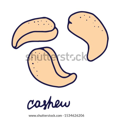 Hand drawn isolated indian food icon. Color fill illustration of indian cashew. Cashew nuts icon.