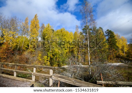 Autumn forest with yellow trees, river. Suburb Of Helsinki, Finland.