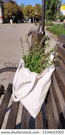 eco friendly bag with green plants on a bench abstract background