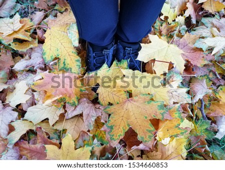 Legs of a girl stand in autumn foliage in a park. Yellow and orange leaves in the fall.