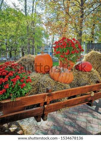 Beautiful picture of wooden cart with bright decoration for autumn holidays